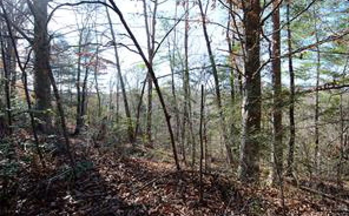 Pictures of Land property located at Wildwood Mountain Ln lot 8, Marion, NC 28752 for sales - image #1