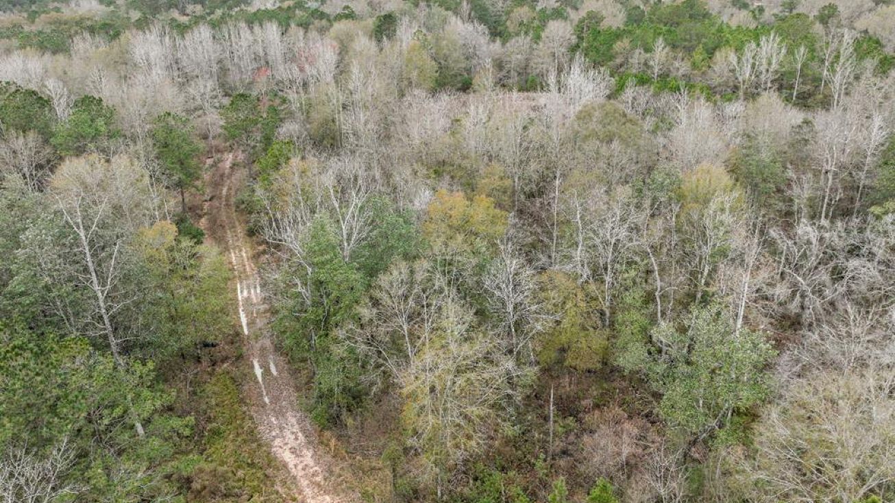 875 Rock Ranch Rd, Carriere, MS 39426