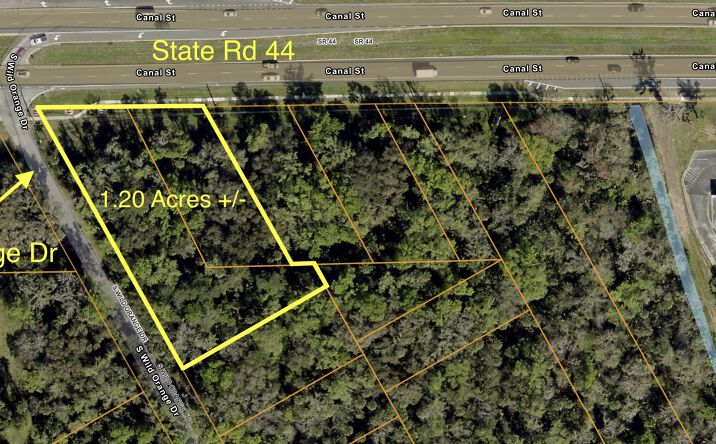Pictures of Land property located at State Rd 44 New Smyrna Beach FL 32168, New Smyrna Beach, FL 32168 for sales - image #1