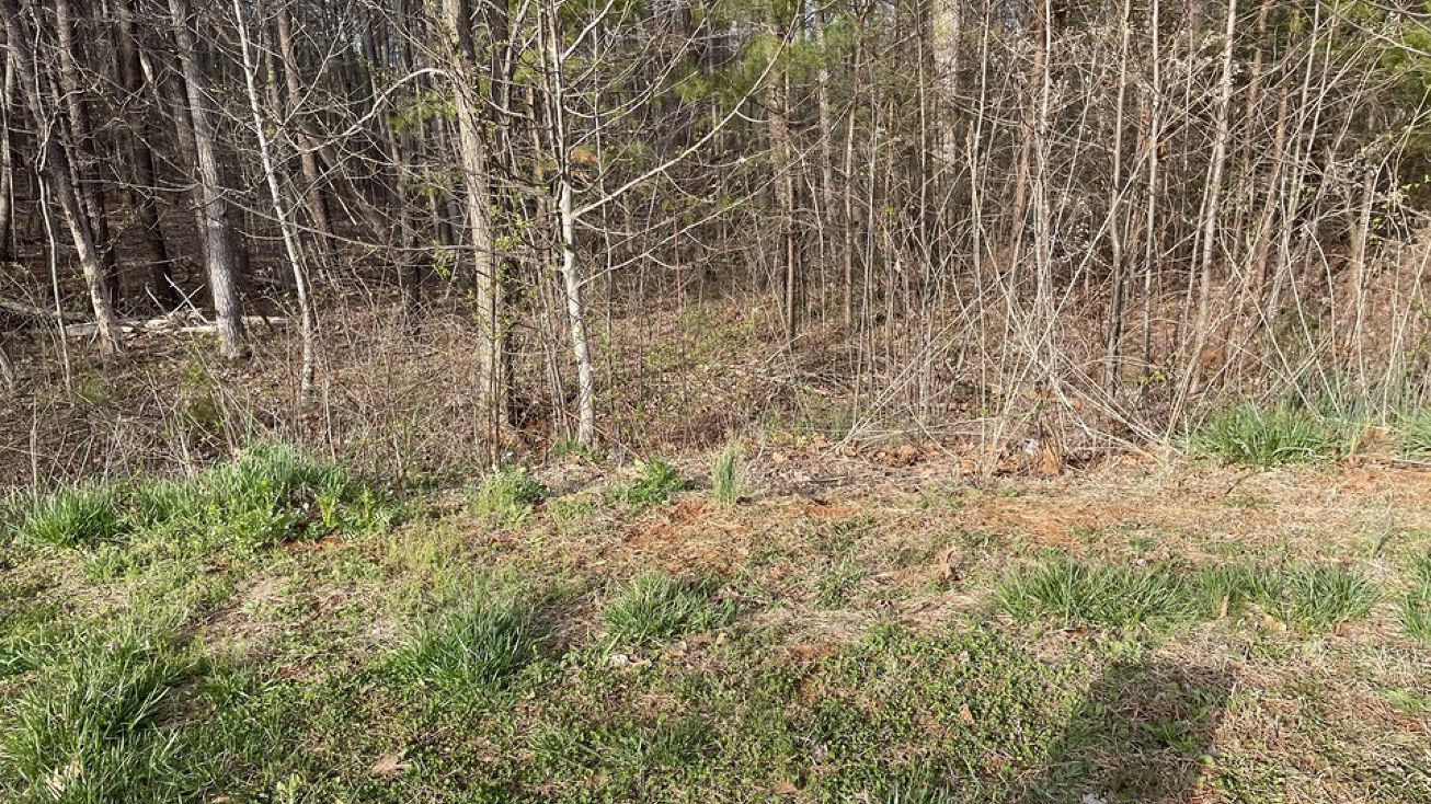 Lot 7 Belvior CIR, VA 24121