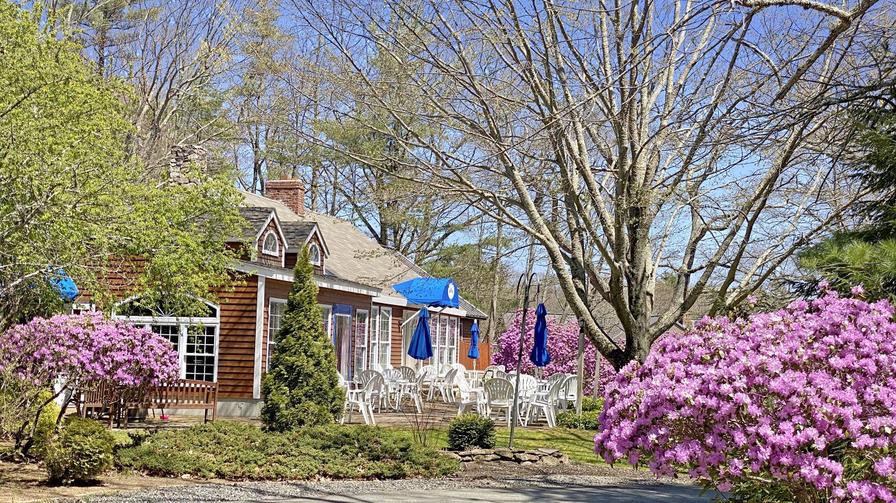 557 Coles Hill Rd, Wells, ME 04090