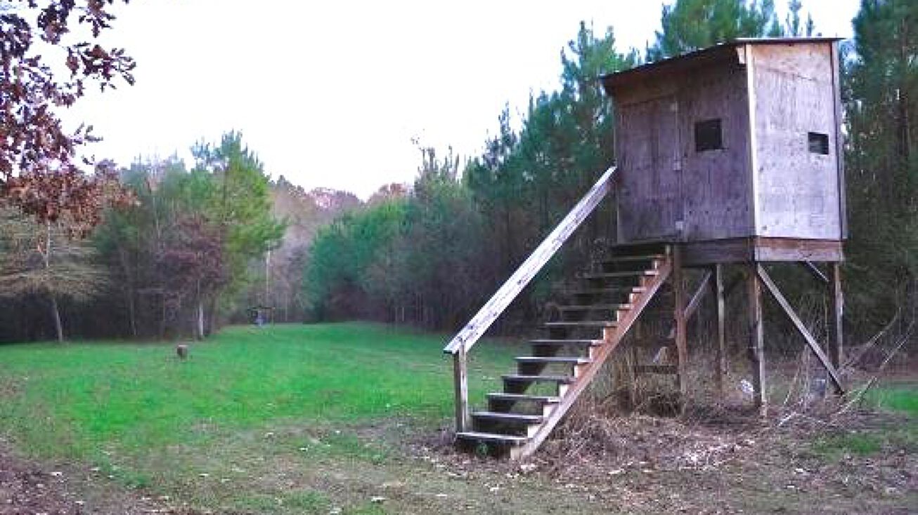 241 Acres in Kemper County, Collinsville, MS 39325