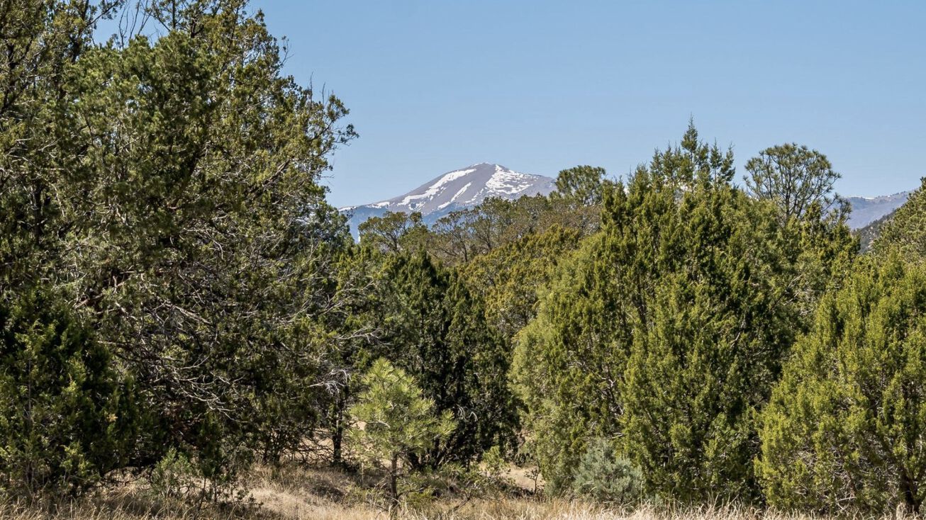 US70, Ruidoso Downs, NM 88346