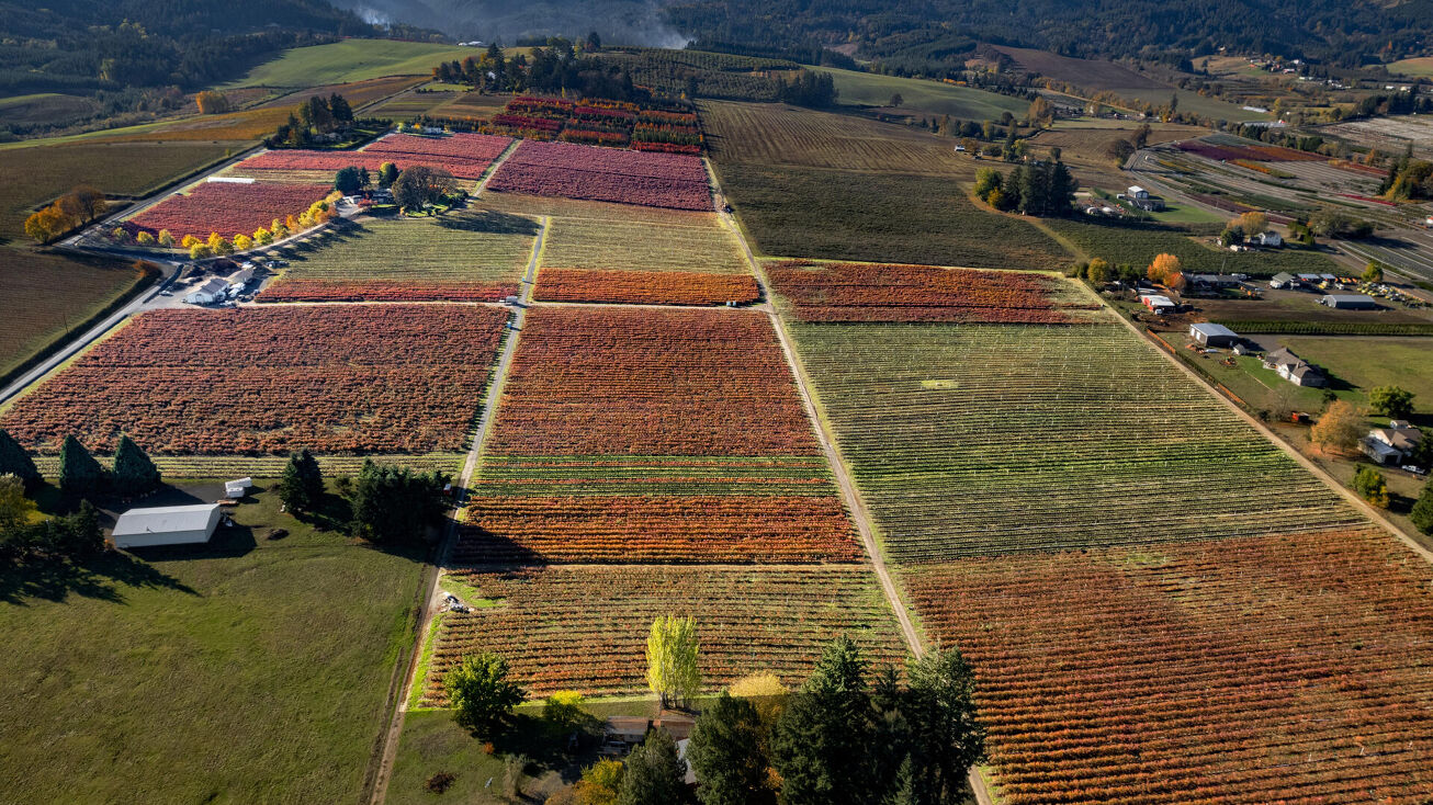 44641 SW Plumlee Rd, Forest Grove, OR 97116