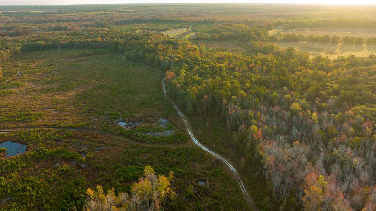 Magnolia Lane, South Carolina, Blackville Barnwell, US 29817