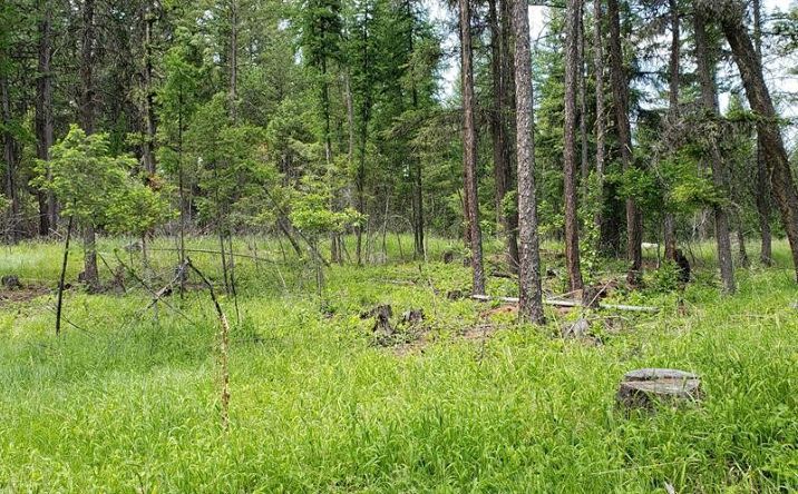 Pictures of Land property located at 150 Coffee Drive, Eureka, MT 59917 for sales - image #1