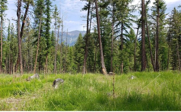 Pictures of Land property located at 51 Coffee Drive, Eureka, MT 59917 for sales - image #1