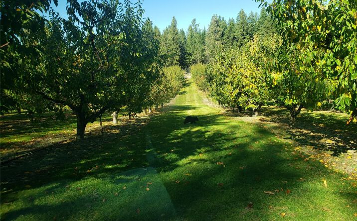 Pictures of Land property located at 32624 S Finley Point Road, Polson, MT 59860 for sales - image #1
