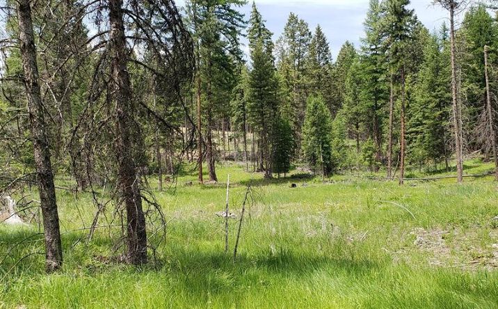 Pictures of Land property located at 109 Coffee Drive, Eureka, MT 59917 for sales - image #1