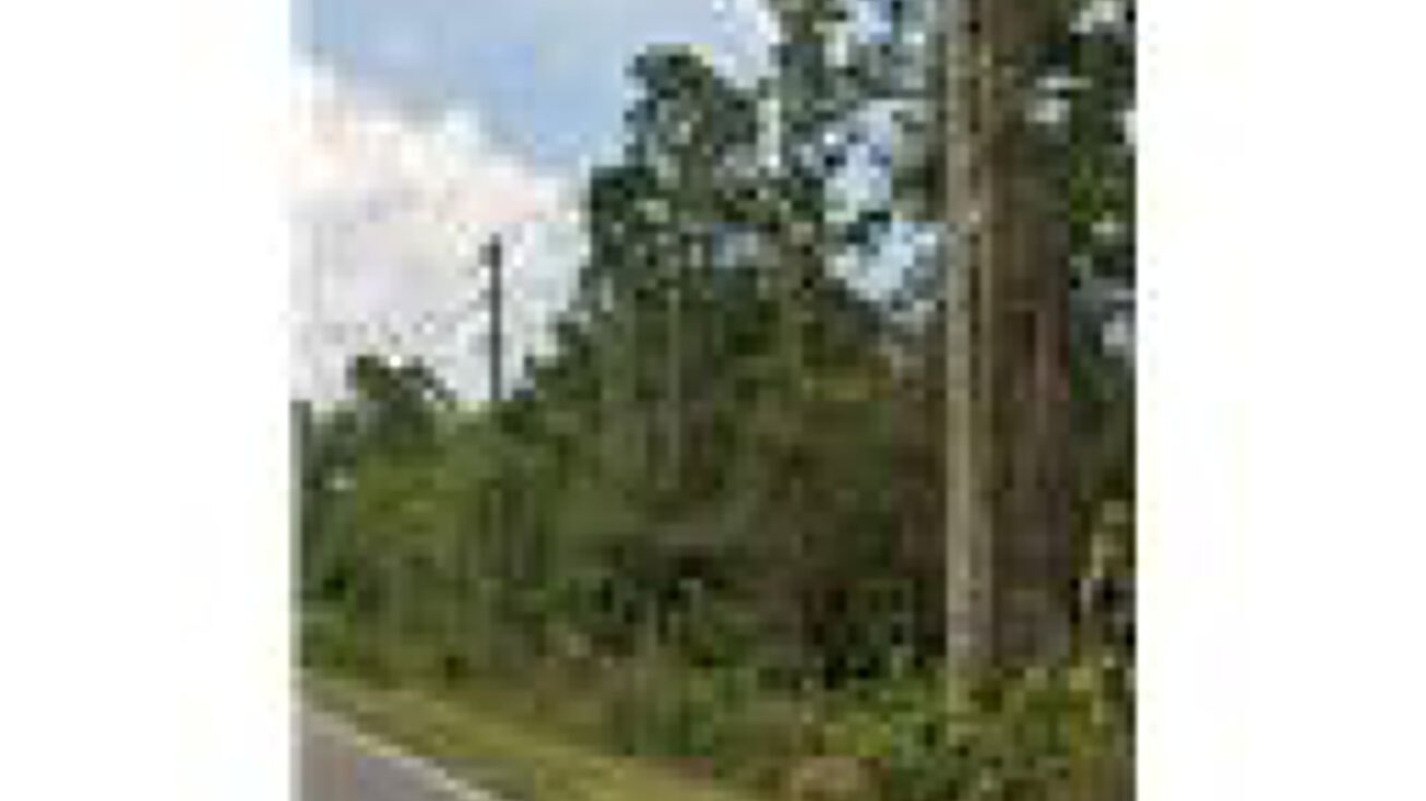 0 Dobbs Rd, , Saint Augustine, FL 32086