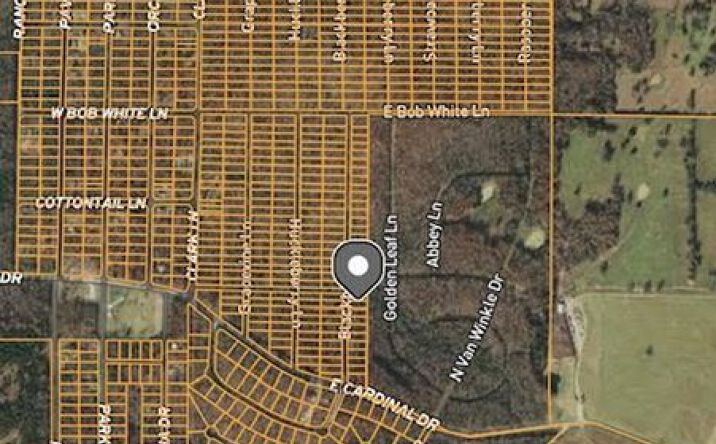 Pictures of Land property located at 1108 Blackberry Ln, Horseshoe Bend, AR 72512 for sales - image #1