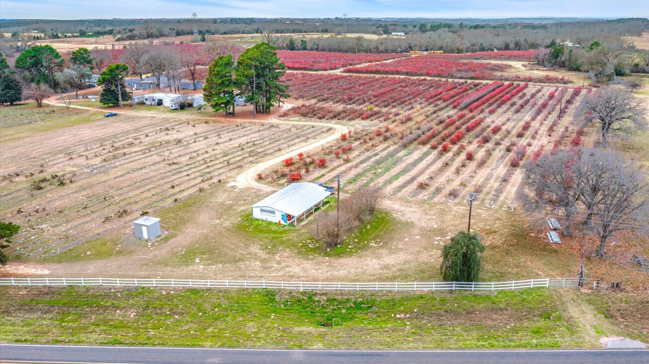 12462 Ranch to Market Rd 2588, LaRue, TX 75770