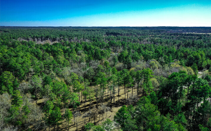 Pictures of Land property located at 97 Utley Rd, Huntsville, TX 77320 for sales - image #1