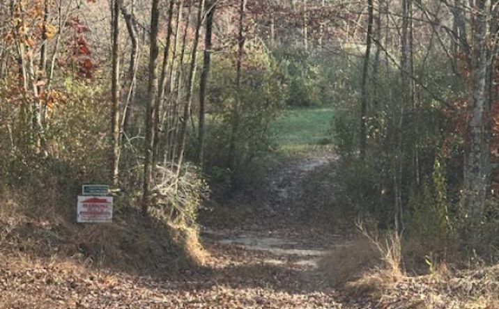 Pictures of Land property located at 500 Beechmont Road, Sandy Hook, KY 41171 for sales - image #1