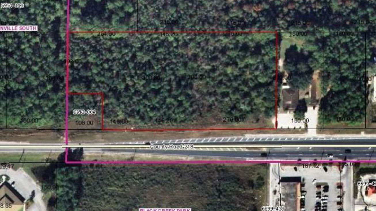 4112 CR 218, MIDDLEBURG, FL 32068