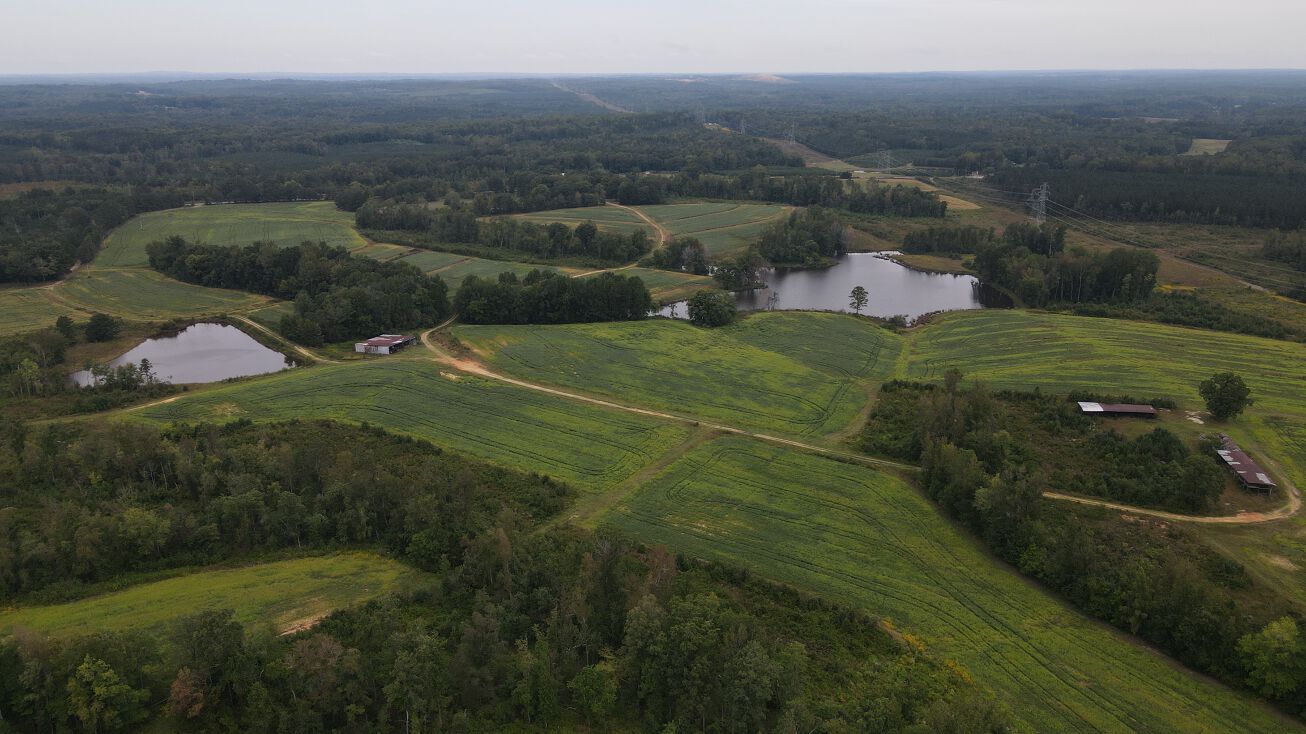 Berea Rd, Rougemont, NC 27572