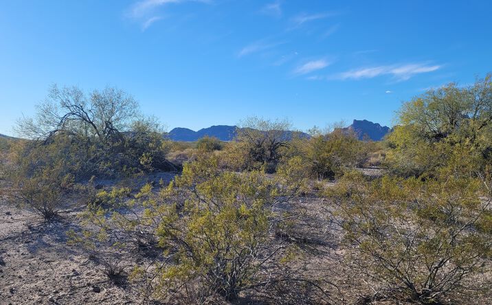 Pictures of Land property located at 82X2 S 544th AVE, Tonopah, AZ 85354 for sales - image #1