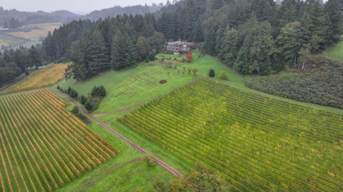 7808 SE Amity Rd, Amity, OR 97101