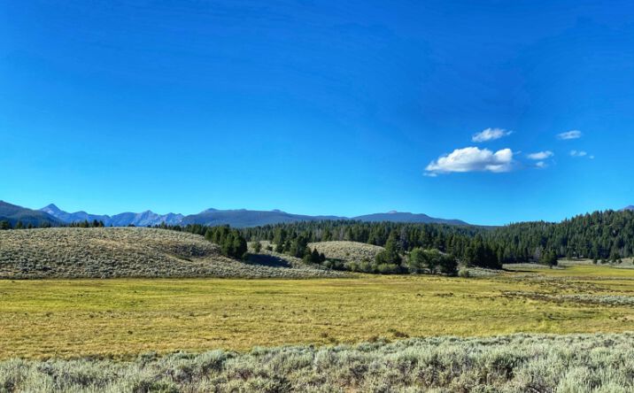 7400 Lower North Fork Rd, Wisdom, MT 59761 | Crexi.com