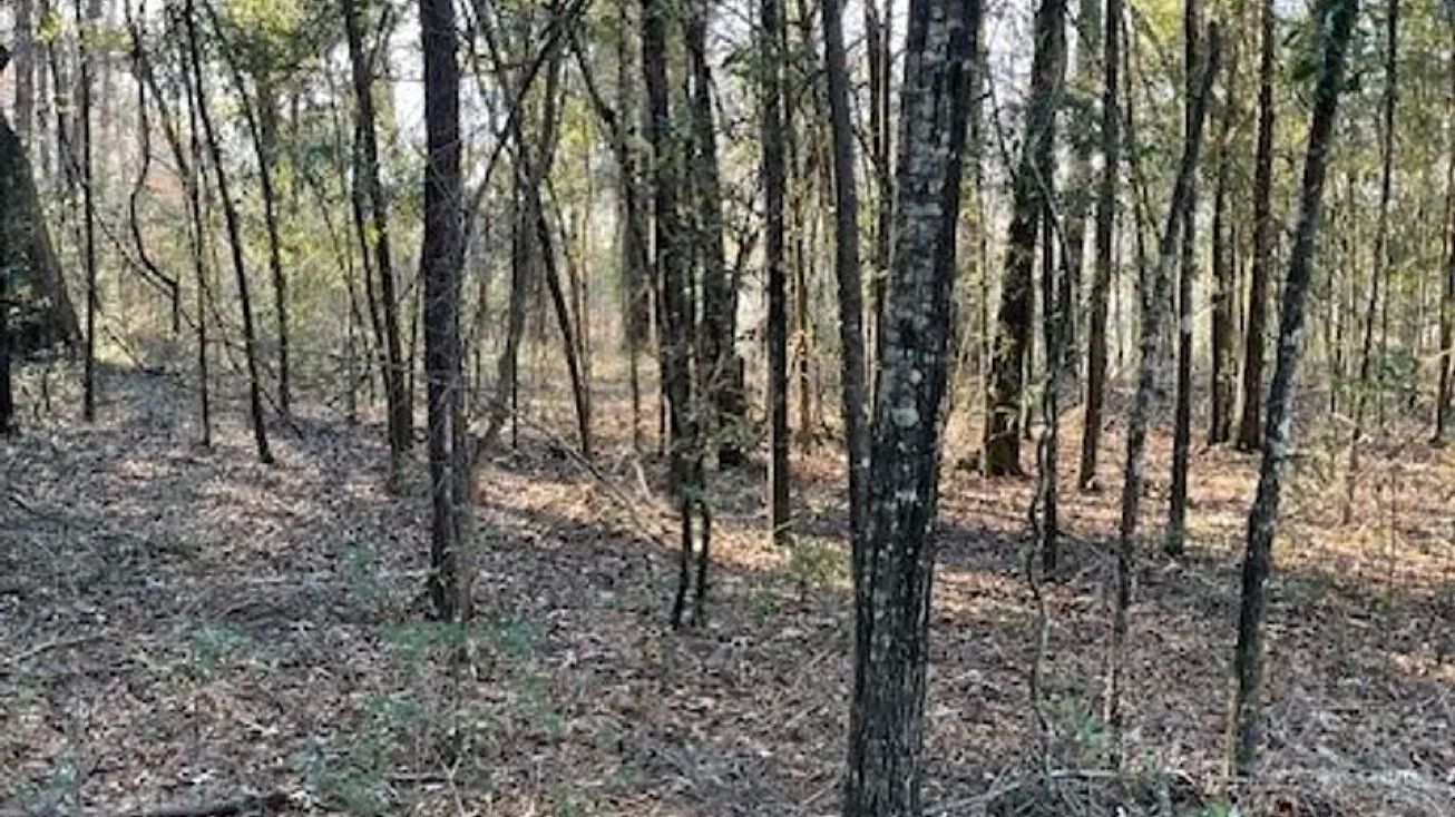 Lot 17 & Lot 18 Arrowhead Lane, Fort Gaines, GA 39851