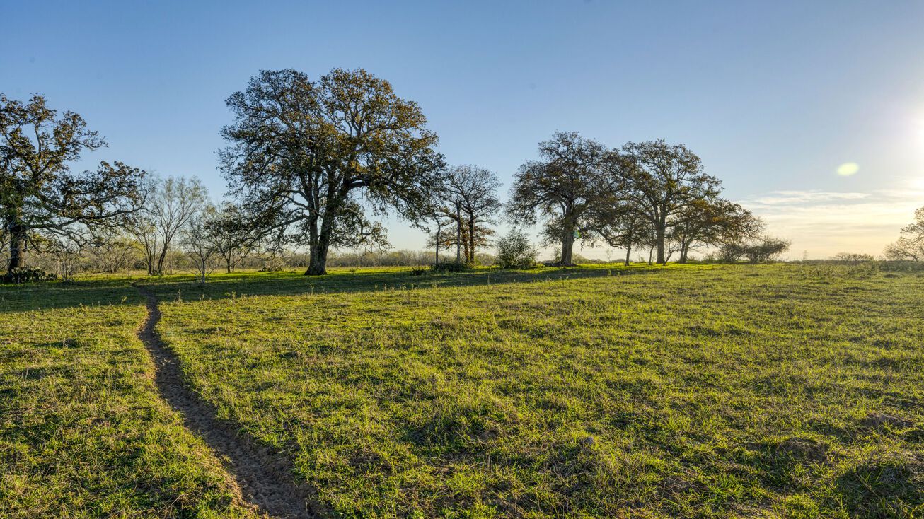 FM 1681, Stockdale, TX 78160