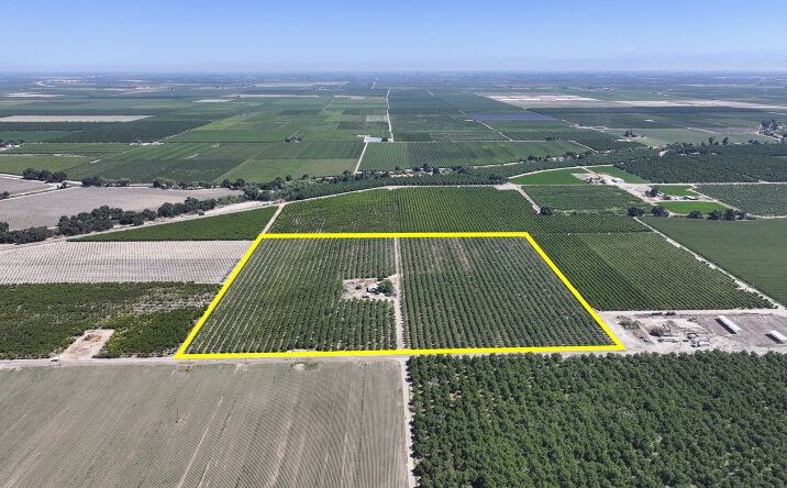 Pictures of Land property located at 7476 E Mt Whitney Ave, Laton, CA 93242 for sales - image #1