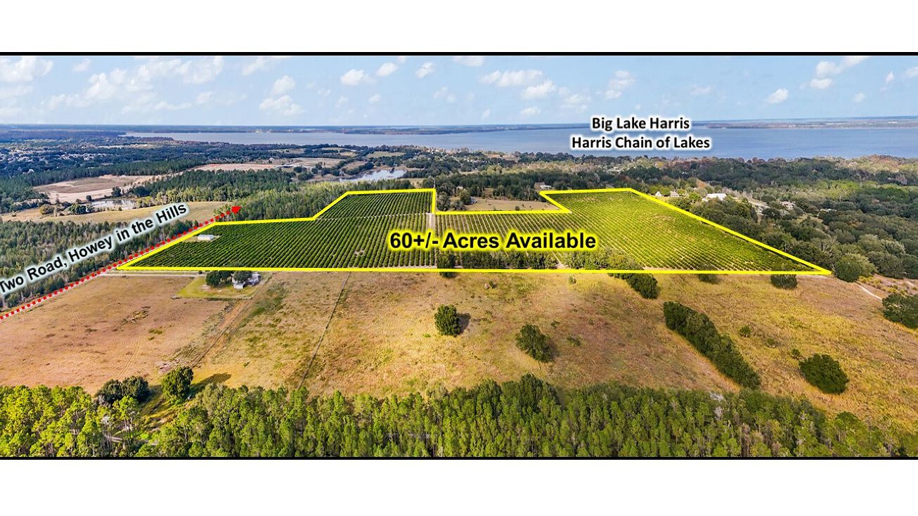 7285 Number 2 Rd, HoweyInTheHills, FL 34737