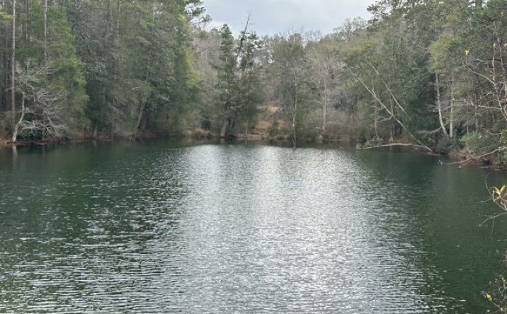 Pictures of Multifamily property located at N Pearl St, Crestview, FL 32536 for sales - image #1