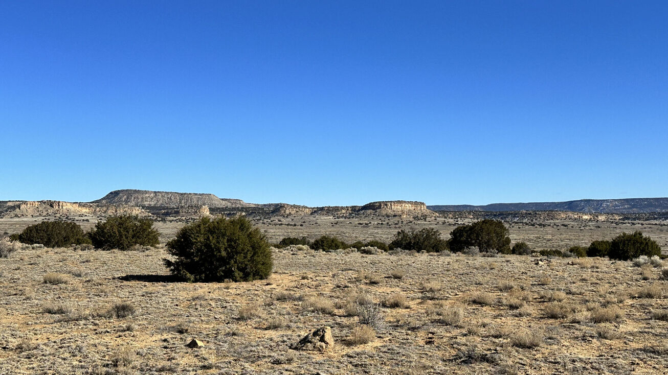 4237 NM605, Milan, NM 87021