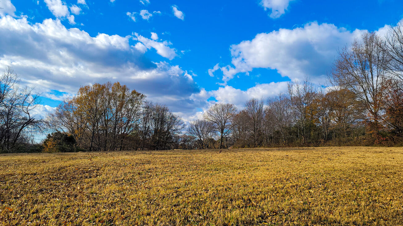 320 Dukes Lake Rd, Humboldt, TN 38343