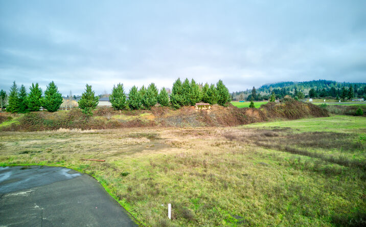 Pictures of Land property located at Dakota St, Sutherlin, OR 97479 for sales - image #1