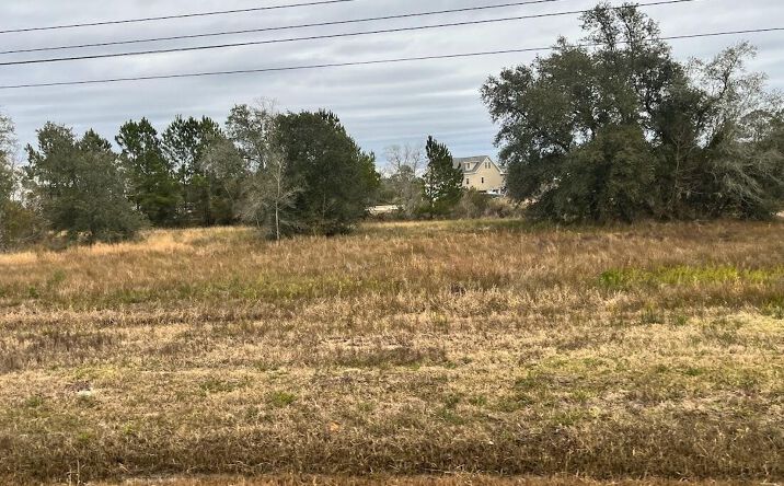 Pictures of Land property located at 2 Acres Highway 603, Bay Saint Louis, MS 39520 for sales - image #1