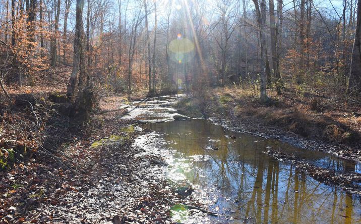 Pictures of Land property located at 1665 Reese Hurt Rd, Edmonton, KY 42129 for sales - image #1