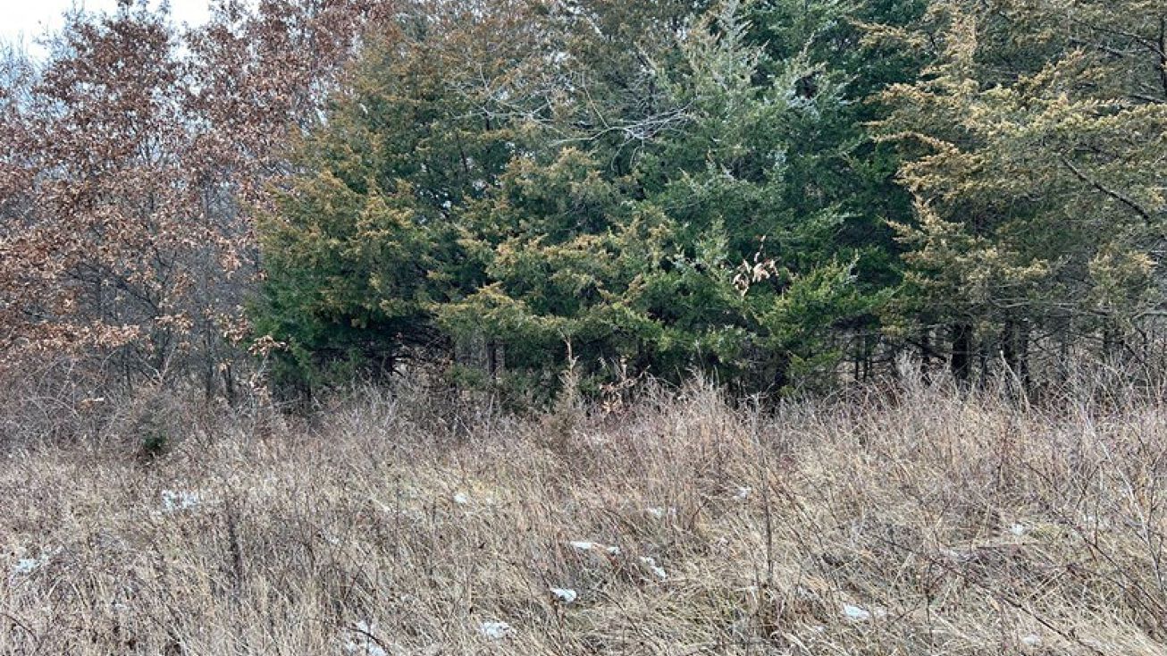 32683 115th St, Stockport, IA 52651