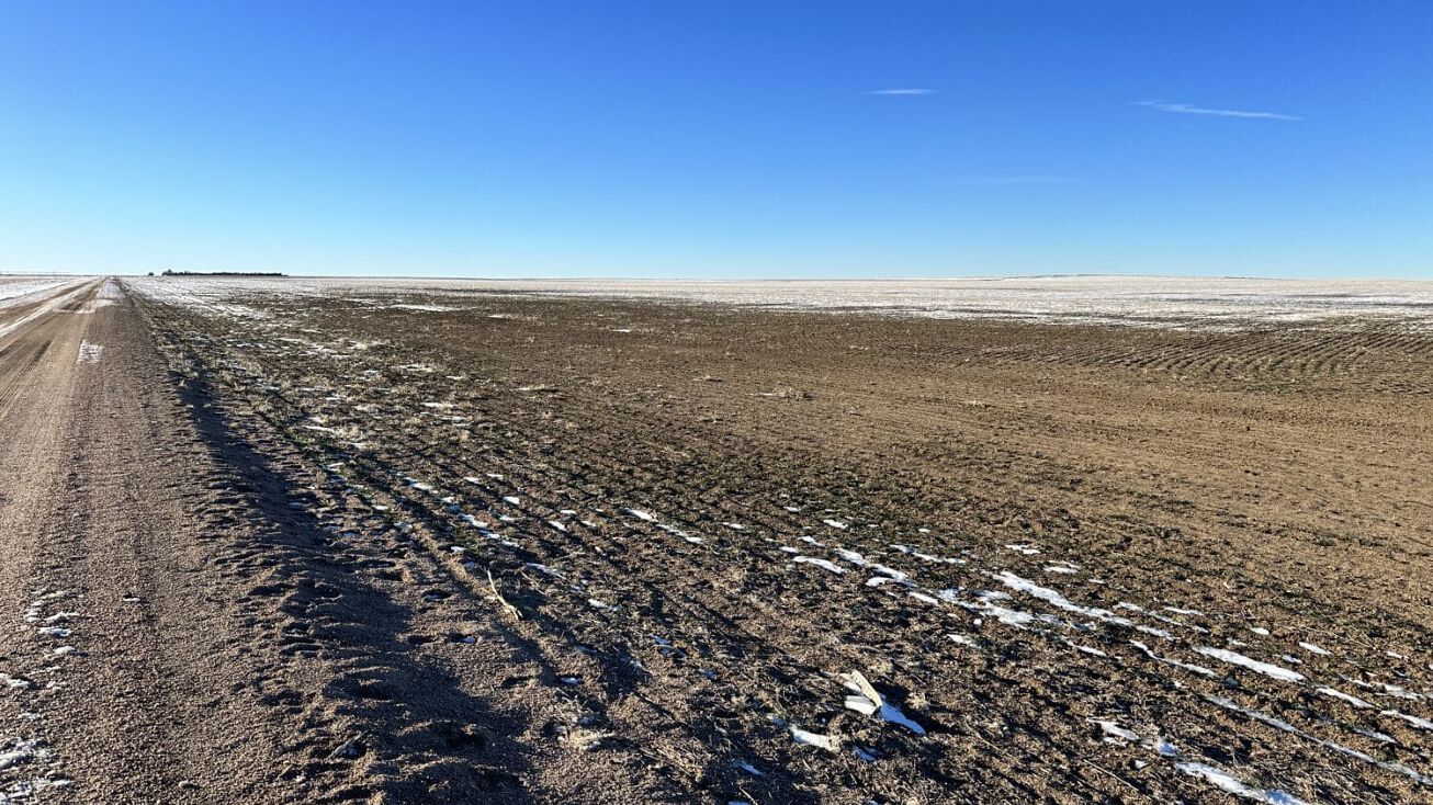 Kit Carson County CO Dryland Auction (151 Acres), Flagler, CO 80815