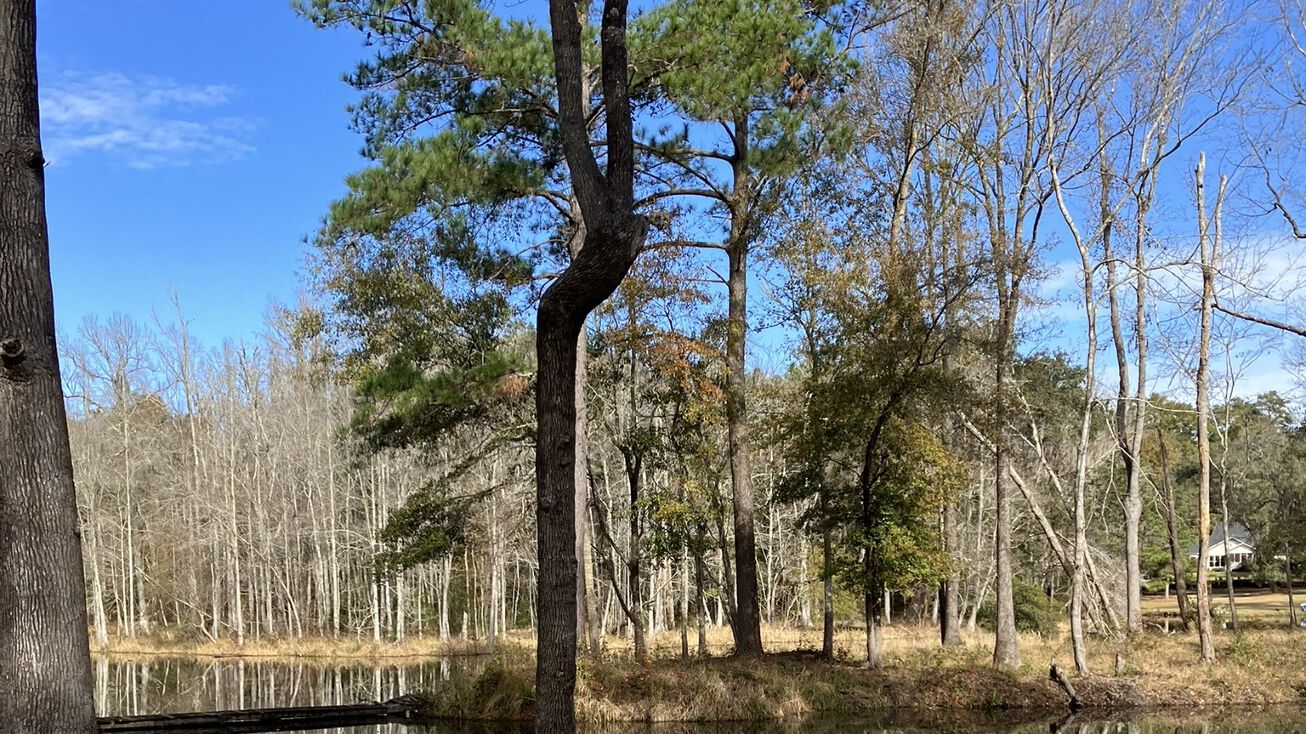 Two Pond Ln, Tallahassee, FL 32312