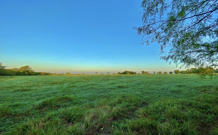Pictures of Land property located at 2179 Borchert Dr, Lockhart, TX 78644 for sales - image #1
