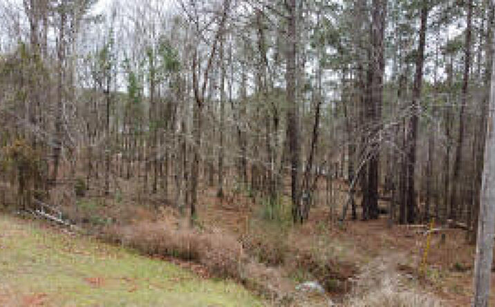 Pictures of Land property located at 34 Rolling Hills, Edgefield, SC 29824 for sales - image #1