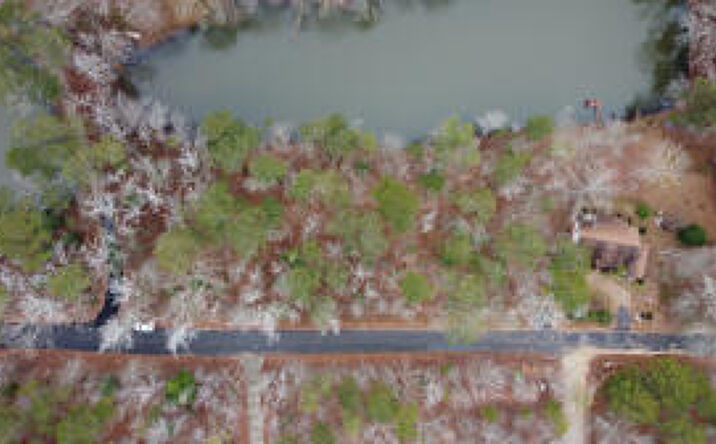 Pictures of Land property located at 0 Land-O-Lakes-02d, Trenton, SC 29847 for sales - image #1