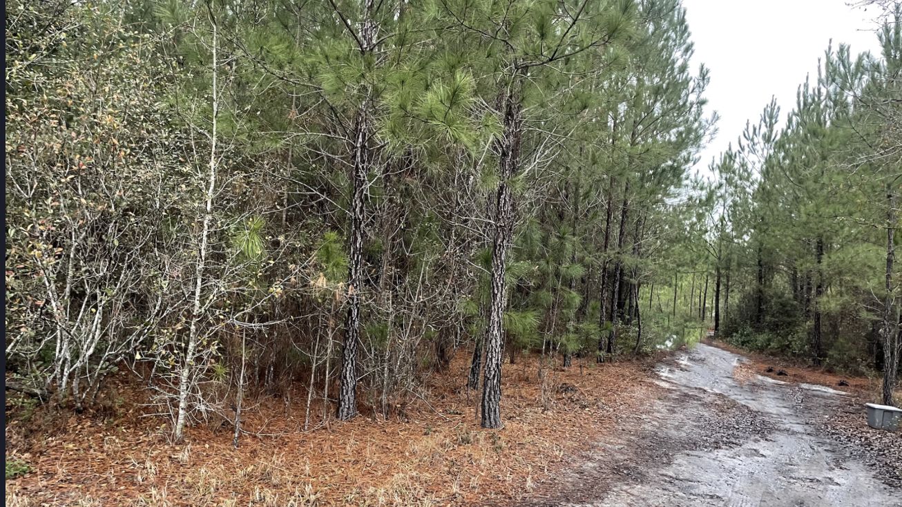 193 Osteen Rd, Pembroke, GA 31321