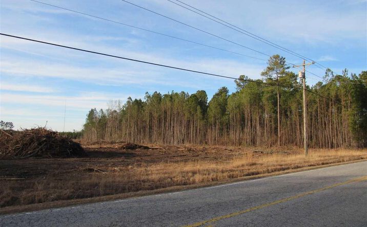 Pictures of Special Purpose property located at TBD TV Road, Florence, SC 29501 for sales - image #1