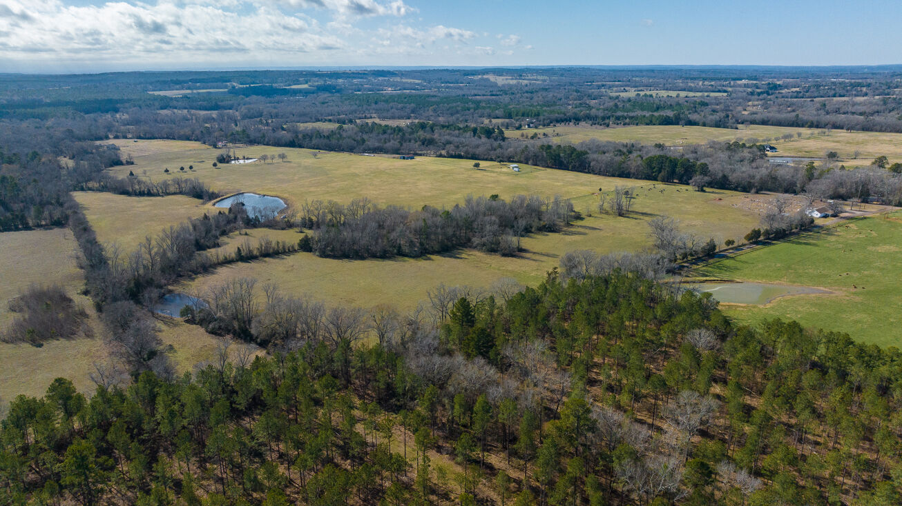 2816 FM 856, Troup, TX 75789