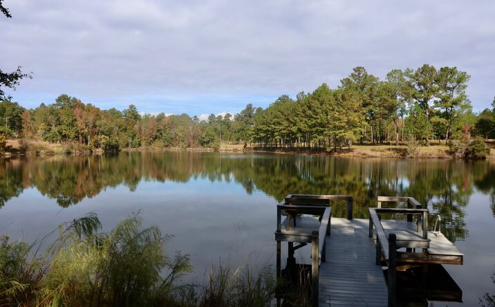 Pictures of Land property located at Cane Creek Rd, Quincy, FL 32351 for sales - image #1