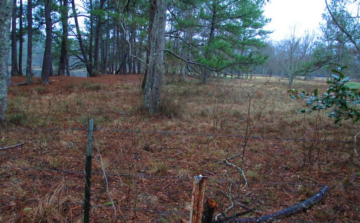 image of property at 00 SHENANDOAH RD Poplarville MS 39470