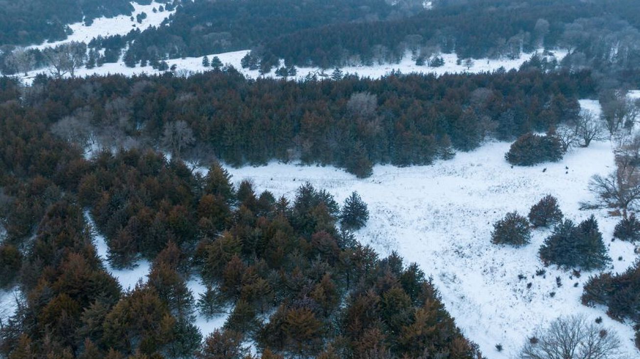 TBD Yankton, Yankton, SD 57078