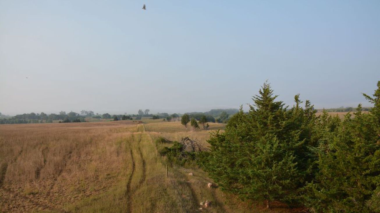 Bluff Rd, Volin, SD 57072