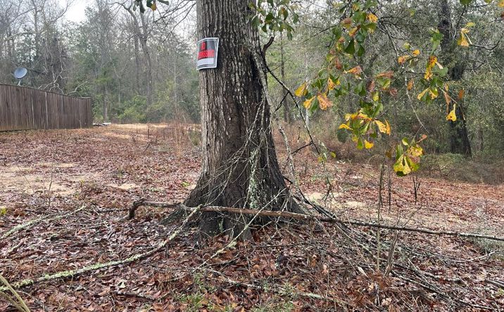 Pictures of Land property located at 205 Rue St Germaine, Carriere, MS 39426 for sales - image #1