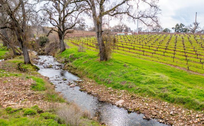 Pictures of Land property located at 19944 Shenandoah School Rd, Plymouth, CA 95669 for sales - image #1