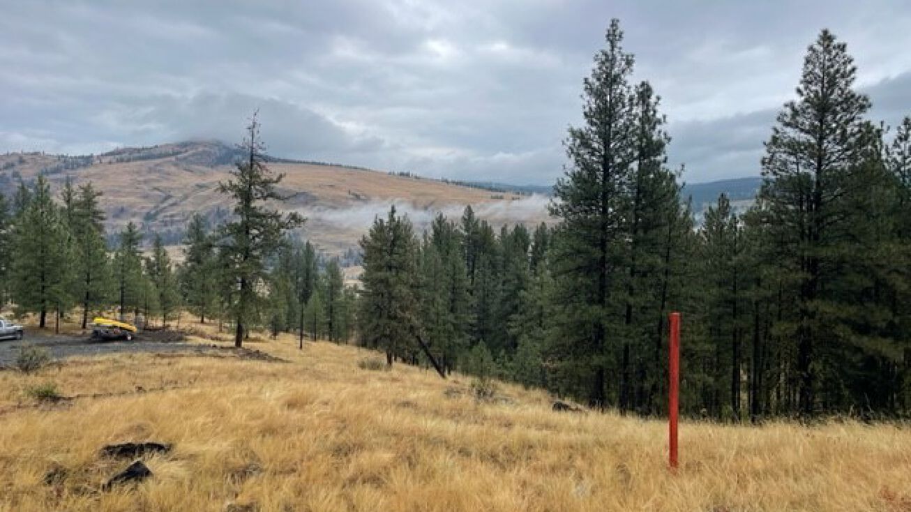 111 E Chopaka, Tonasket, WA 98855