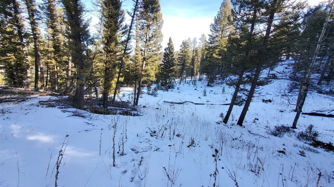 TBD Stonemore Road, Elliston, MT 59728